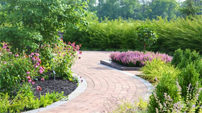 Landscaping Landscaping